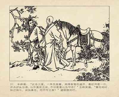 第41頁圖