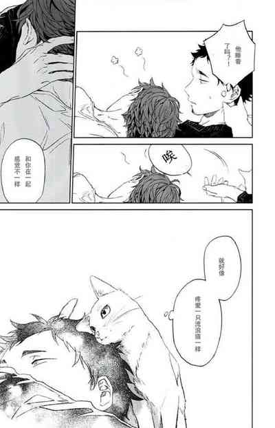 第33頁圖