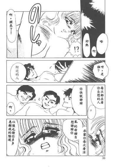 第33页图