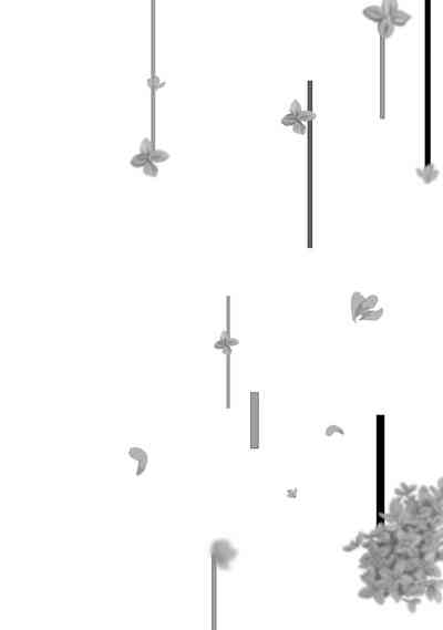 第141頁圖