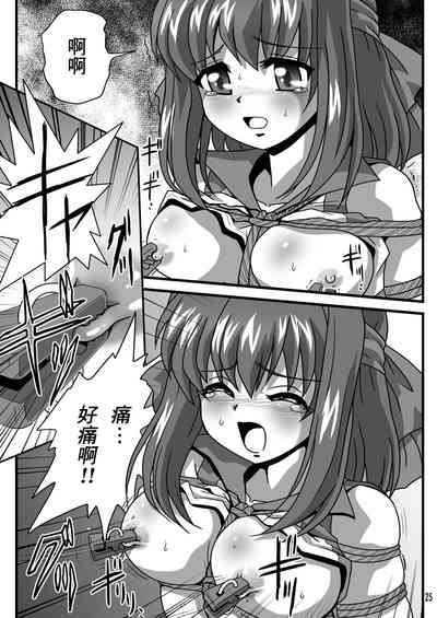 第25页图