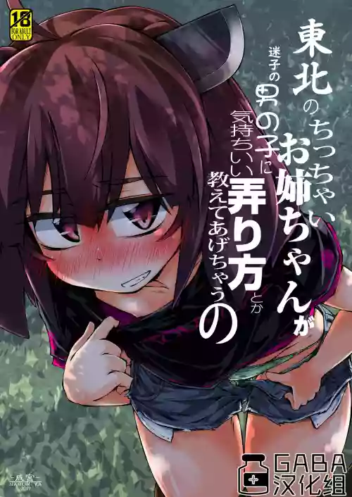 東北のちっちゃいお姉ちゃんが迷子の男の子に気持ちいい弄り方とか教えてあげちゃうの圖