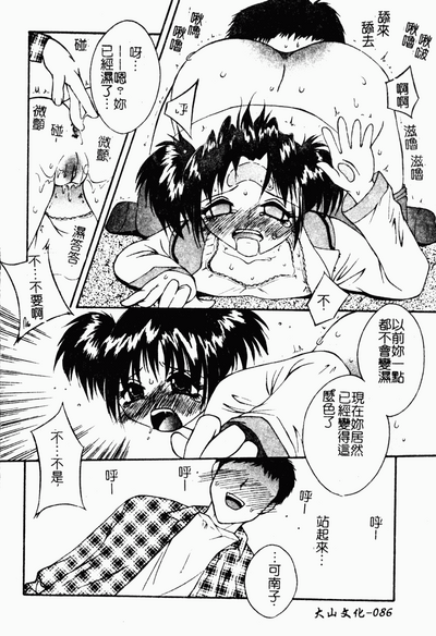 第85頁圖