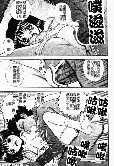第29頁圖