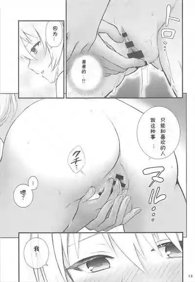 第13页图