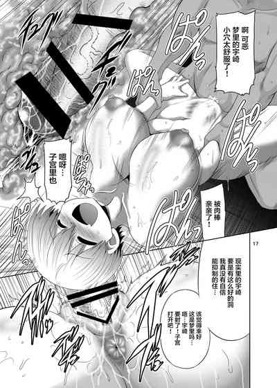 第17页图