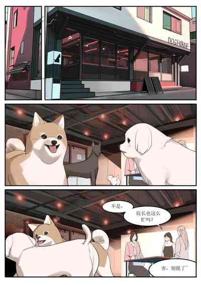 第29頁圖
