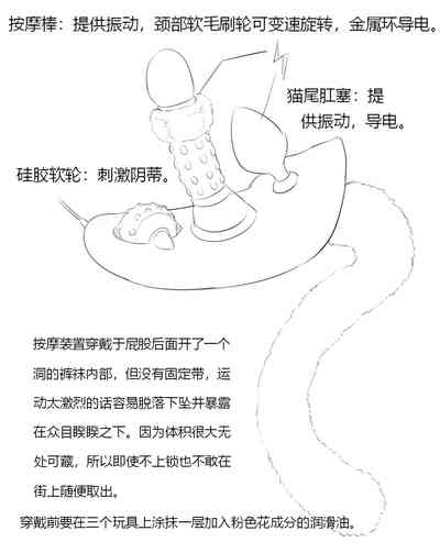 第313页图