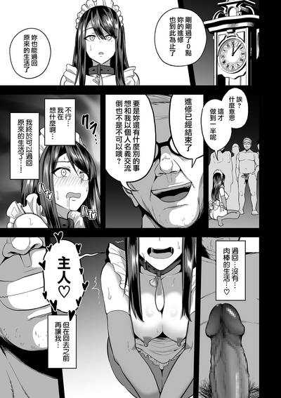 第33页图