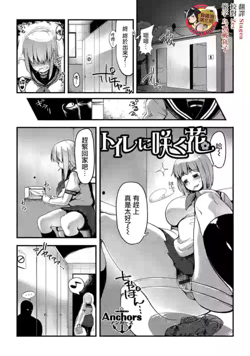 トイレに咲く花圖