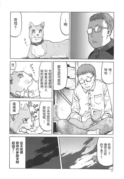 第13頁圖