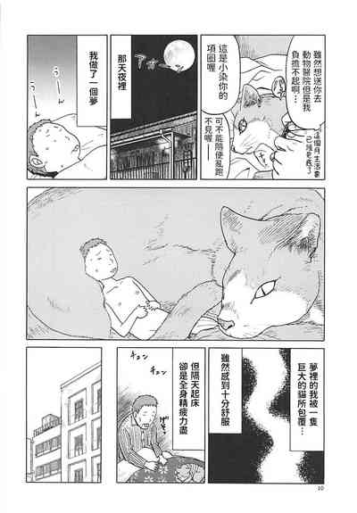 第9頁圖