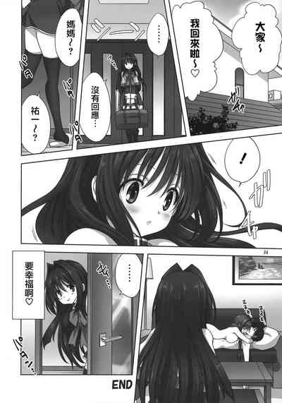 第33页图