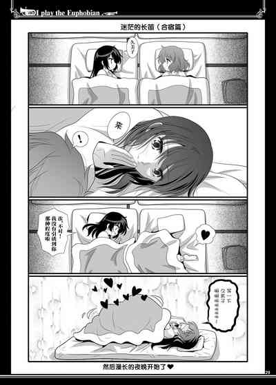 第29頁圖
