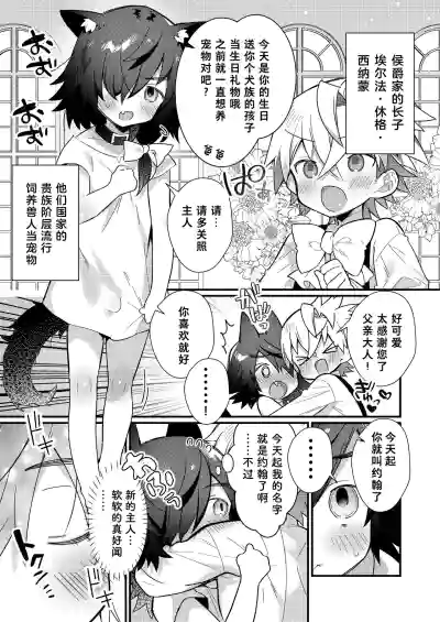 第33页图