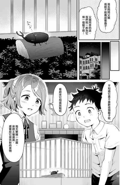 第33頁圖