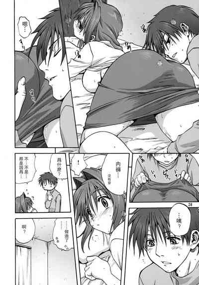 第25页图