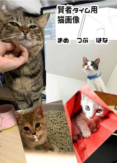 第45页图