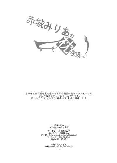 第17页图