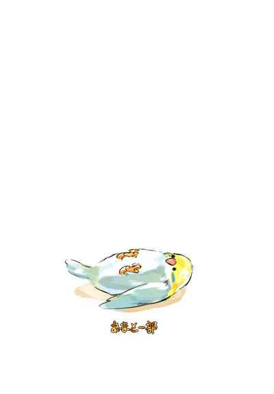 第25頁圖