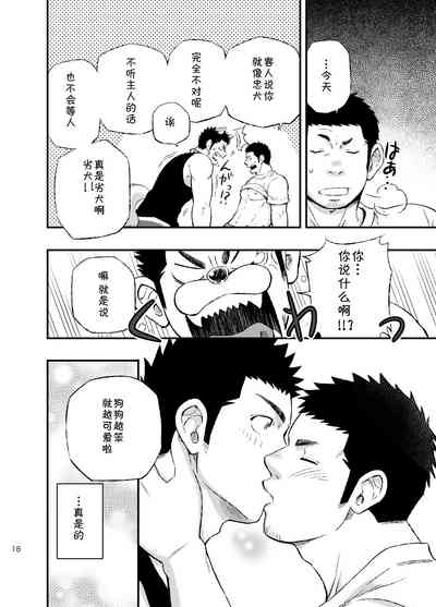 第17页图