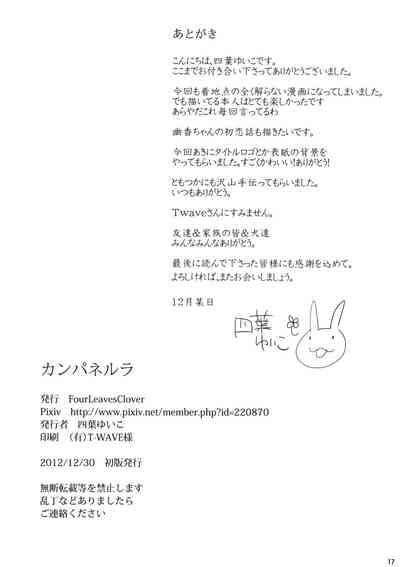 第17頁圖