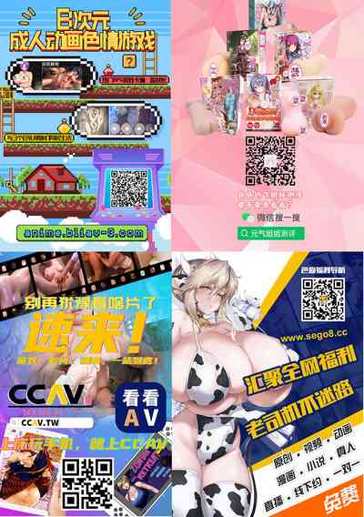 第33页图