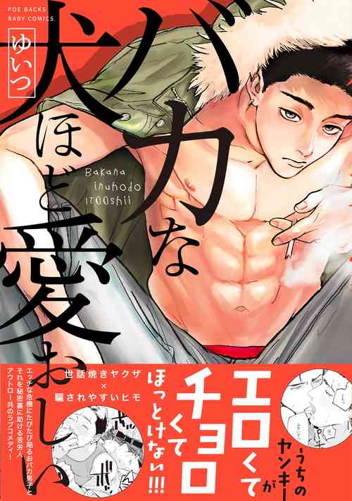 Baka na Inuhodo Itooshii | 傻狗一樣可愛的他 Ch. 2-3圖