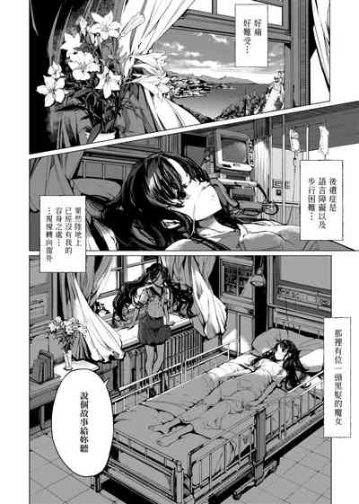 第205頁圖