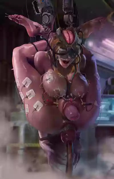 第17頁圖