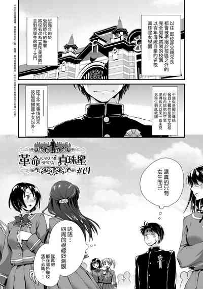 第133頁圖