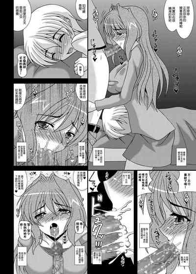 第21页图