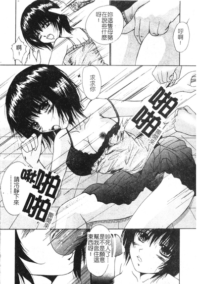 第181頁圖