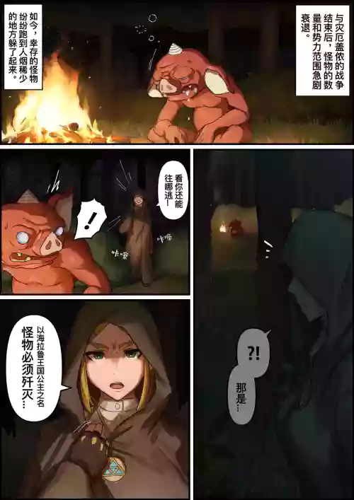 塞尔达传说:旷野之息-海拉鲁王族的复兴图