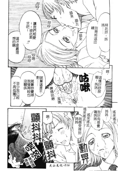 第17页图