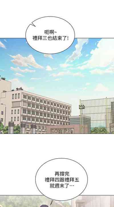 第381頁圖
