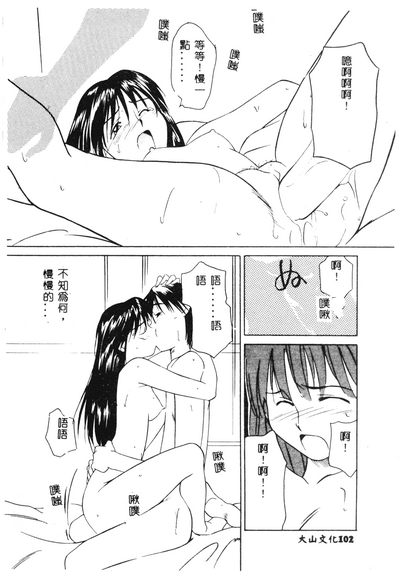 第101頁圖