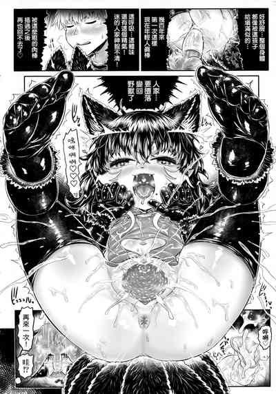第217頁圖
