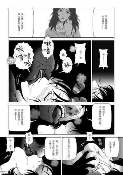 第13页图