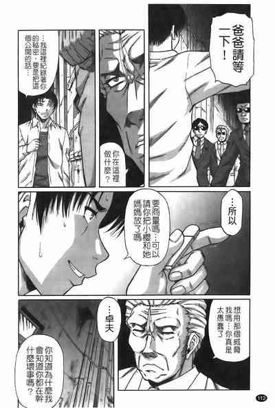 第113頁圖