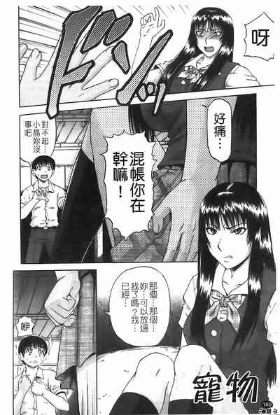 第161頁圖