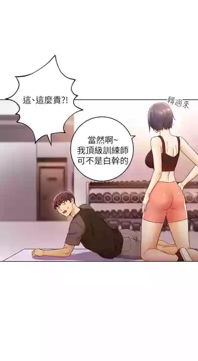 第293頁圖