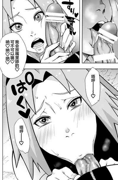 第17页图