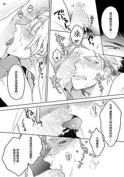 第29頁圖