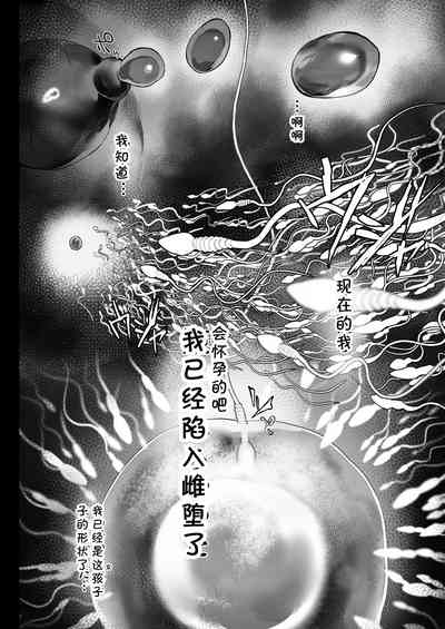 第37頁圖