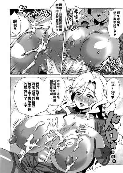 第17頁圖