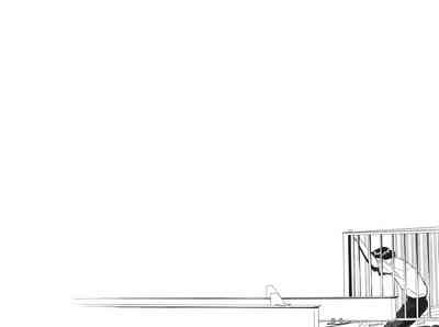 第233页图