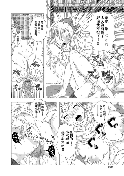 第205页图