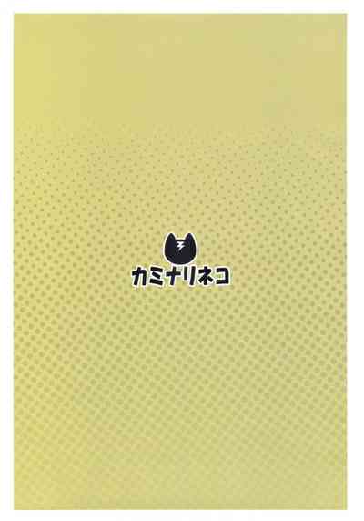 第33页图