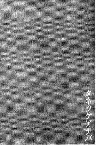 第185頁圖